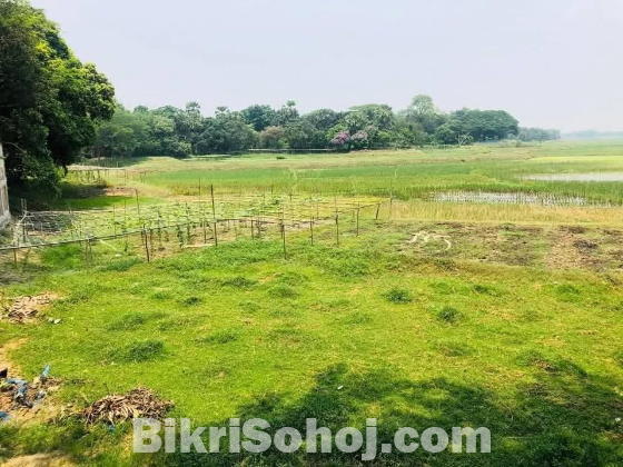 Pine City (Best Plot in Purbachal)